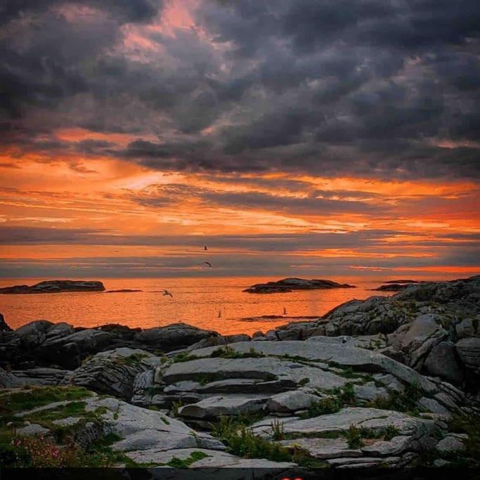 Close To Sea, Central, Rent A Boat, Mountain Hike, Wifi, Free Parking Haug Екстер'єр фото